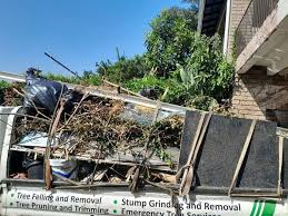 Property Management Cleanouts in Lake Royale, NC